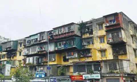 TP. Hồ Chí Minh yêu cầu đẩy nhanh công tác kiểm định, xây dựng lại chung cư cũ
