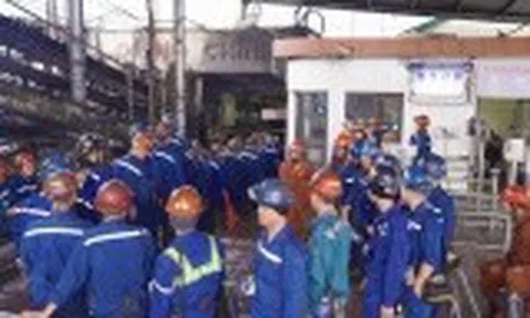 Công ty than Mạo Khê giữ vững nhịp độ sản xuất với tinh thần "Chủ nhật không nghỉ"