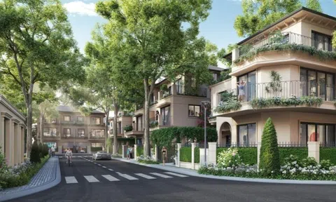 Sol Garden và xu hướng tích sản truyền đời của giới tinh hoa đất cảng
