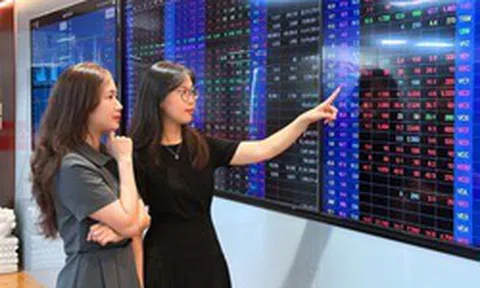 Chứng khoán Rồng Việt báo lãi sau thuế Quý 2/2026 gần 45 tỷ đồng