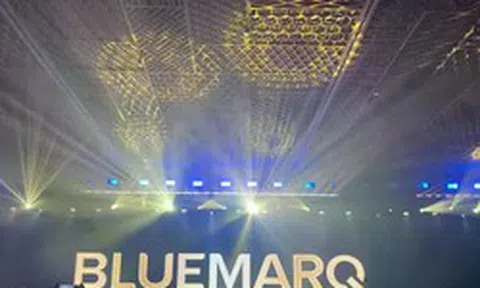 Công ty CP Bluemarq Group mất cổ đông lớn