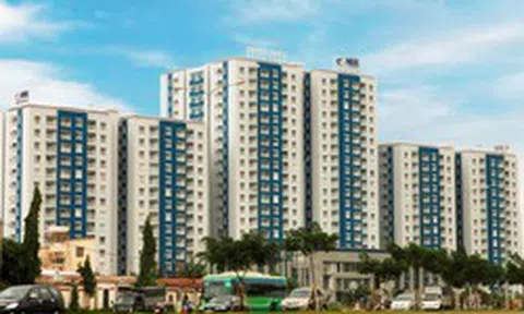 Năm Bảy Bảy hoàn tất bán cổ phiếu quỹ