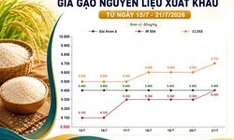 Thị trường hàng hoá 21/7: Gạo nguyên liệu nhích giá, cao su quốc tế duy trì sắc xanh