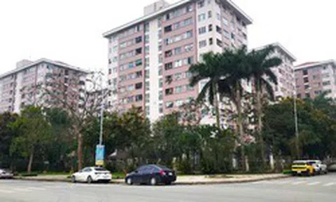 Hà Nội: Đẩy nhanh tiến độ hoàn thiện cơ sở dữ liệu về đất đai