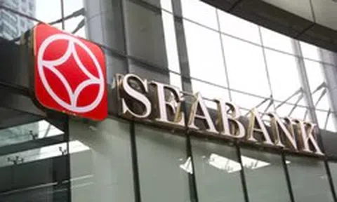 Cựu Giám đốc chi nhánh SeABank bị truy tố vắng mặt trong vụ án liên quan Vina Megastar