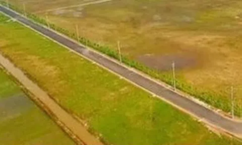 Cục Thuế yêu cầu khắc phục tình trạng chậm, quá hạn giải quyết hồ sơ đất đai