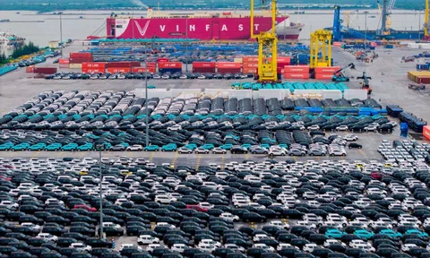 VinFast dự kiến hòa vốn trong nước năm 2027, sau đó có lãi toàn cầu