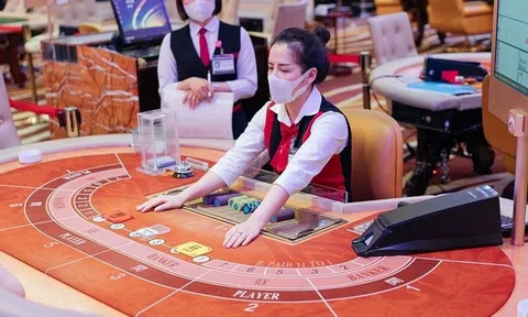 Casino lớn nhất Quảng Ninh hụt thu vì khách VIP thắng liên tục