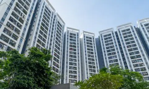 Người dân Hà Nội sống tại chung cư, nhà tập thể từ 3 tầng trở lên cần chuẩn bị 2 loại giấy tờ quan trọng để hoàn thiện dữ liệu đất đai