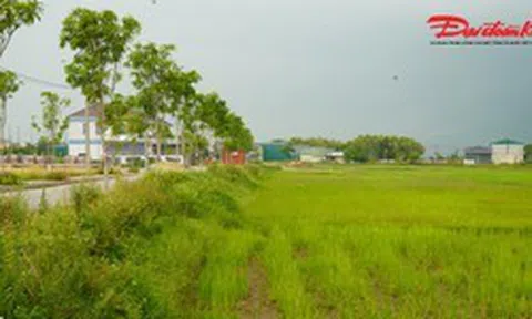 Đấu giá đất nông thôn ở Hà Tĩnh: Vì sao giá khởi điểm lên tới hơn 5,3 tỷ đồng?
