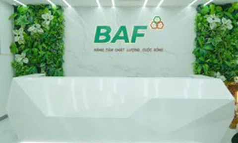 Baf Việt Nam sắp chào bán hơn 40 triệu cổ phiếu