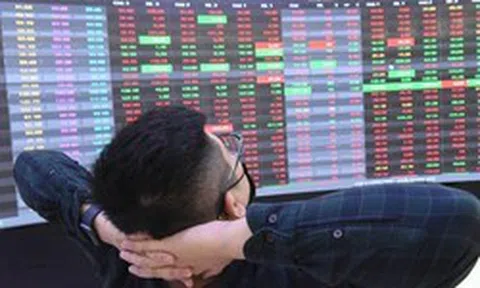 Loạt cổ phiếu cơ bản FPT, MWG, SSI đều giảm 2 chữ số từ đầu năm, chuyên gia lý giải nguyên nhân