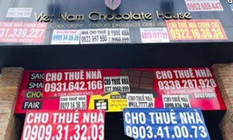Cơ quan thuế gửi thông báo đến người đang cho thuê nhà, cho thuê bất động sản có doanh thu dưới 1 tỷ đồng/năm