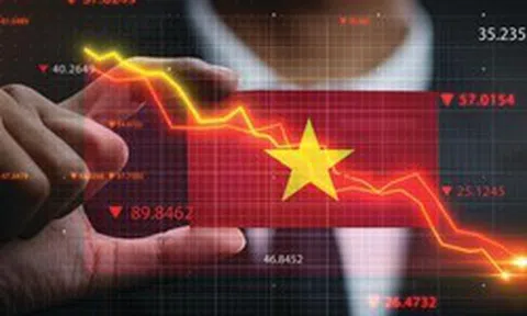 Cải cách tổng thể thị trường tài chính Việt Nam