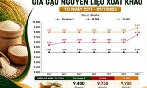 Thị trường hàng hóa 29/7: Gạo xuất khẩu bứt tốc, heo hơi nối dài đà giảm