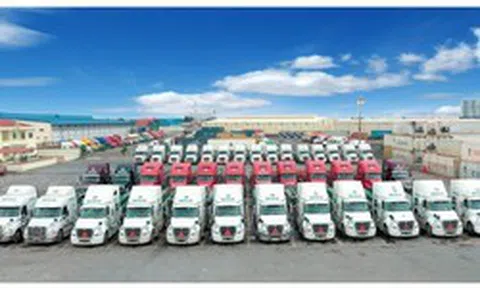 Liên tục thoái vốn, Quỹ Leadvisors không còn là cổ đông lớn tại Viconship
