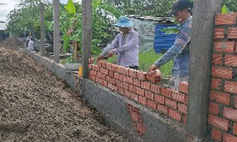 Từ ngày 31/8, những hành vi có thể khiến chủ đất bị phạt tới 10 triệu đồng