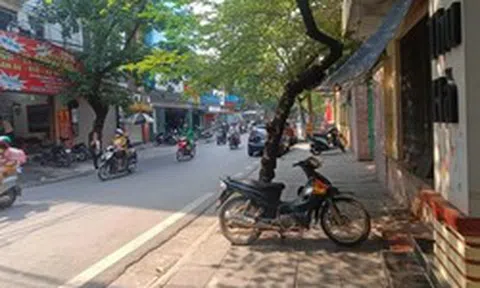 Hà Nội hủy kết quả trúng đấu giá 'đất vàng' số 18 phố Cao Bá Quát