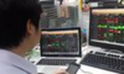 VN-Index tháng 8: Cơ hội mở rộng đà hồi phục hay chỉ là "bull trap"?