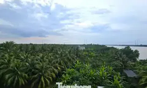 Xem xét trách nhiệm nguyên Phó Chủ tịch tỉnh Bến Tre cũ vì giao đất sai