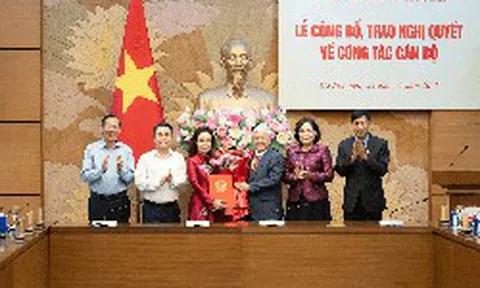 Vụ trưởng Vụ Tín dụng NHNN được bổ nhiệm làm Trợ lý Phó Chủ tịch Quốc hội Nguyễn Thị Hồng