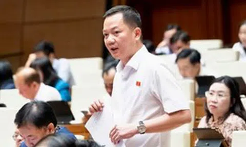 Đề xuất đưa kim cương vào ngành nghề kinh doanh có điều kiện
