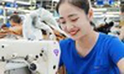 Cổ phiếu cần quan tâm ngày 12/8