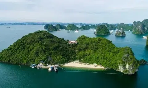 Quảng Ninh lại tính đấu thầu khai thác vịnh Hạ Long