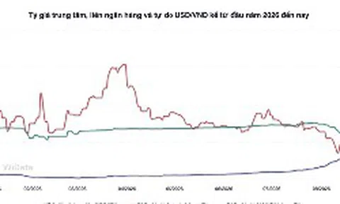 Tỷ giá trung tâm giảm, áp lực USD chưa hạ nhiệt