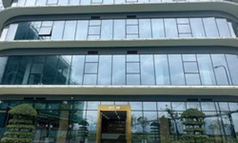 Đa dạng hóa các sản phẩm tài chính, dịch vụ tại VIFC-DN