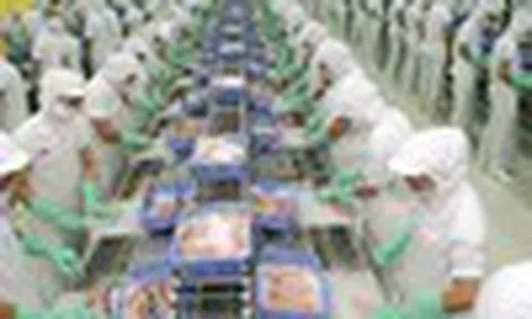 Cổ phiếu cần quan tâm ngày 10/8