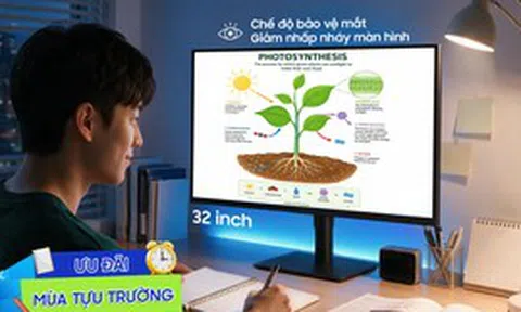 Phụ huynh đề cao tiêu chí gì khi chọn màn hình máy tính cho con?