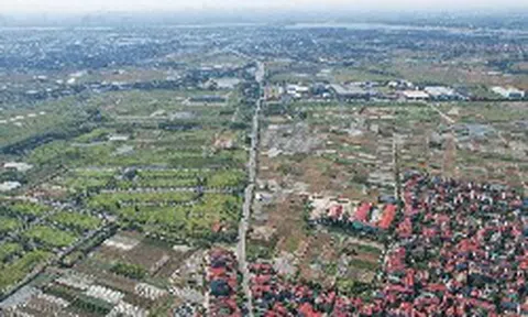 Thị trường đất nền "hạ nhiệt" sau giai đoạn tăng giá kéo dài, giá giảm