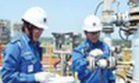 Cổ phiếu cần quan tâm ngày 11/8