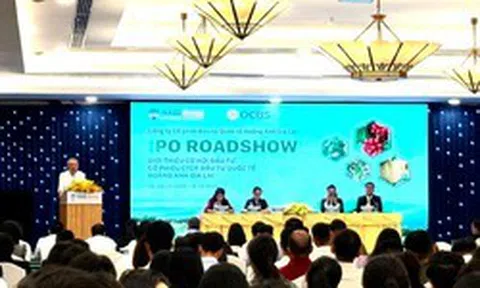 Bầu Đức tung “cam kết khủng” trước thềm IPO HGI: Cổ tức tiền mặt 50%, cổ phiếu có thể chia 1:1