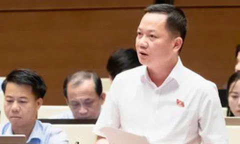 Đại biểu Quốc hội đề nghị định danh hành vi thao túng thị trường bất động sản