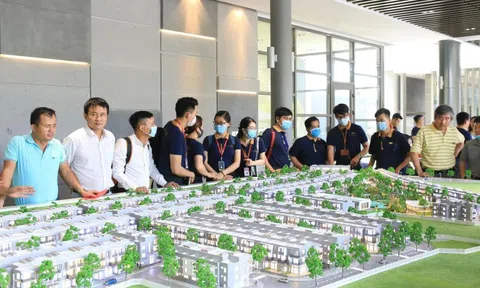 TP.HCM truy thu thuế với bác sĩ, môi giới, người nhiều nguồn thu nhập