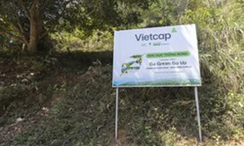 Vietcap tiếp tục trao tặng 8.000 cây, thành công khép lại Go Green Go Up mùa 2