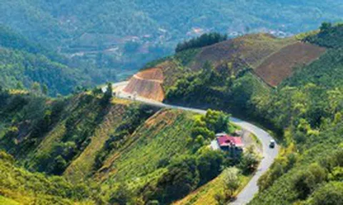 Người dân sống tại tỉnh nào có thu nhập bình quân thấp nhất Việt Nam, chỉ 2,5 triệu đồng?