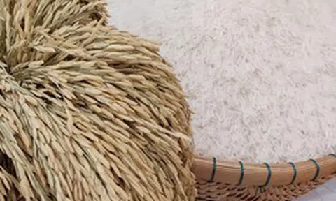 Giá xuất khẩu gạo tăng, nhưng đối thủ của Việt Nam, Thái Lan vẫn chưa thể vui mừng vì một lý do