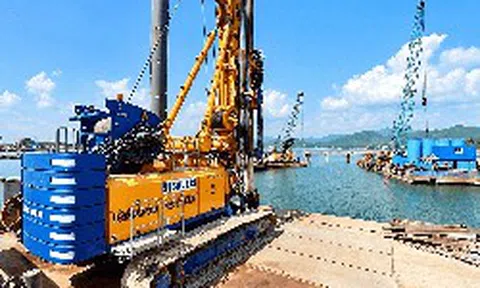 Lỗ sau thuế hơn 154 tỷ đồng, Tập đoàn Đua Fat (DFF) chỉ còn 3 nhân sự