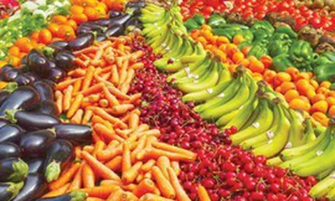 Năm 2026, Việt Nam sẽ ghi nhận một kỷ lục mới, là gì vậy?