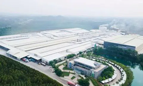 Trước thềm huy động vốn gần 800 tỷ đồng, Amy Grupo của Chủ tịch 75 tuổi báo lãi giảm 13%