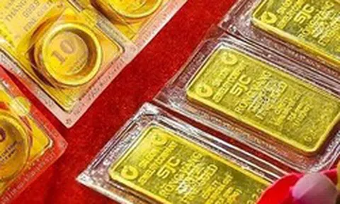 Giá vàng miếng, vàng nhẫn chiều 8/9 tại SJC, DOJI, PNJ, Bảo Tín Mạnh Hải và Bảo Tín Minh Châu lại quay đầu giảm