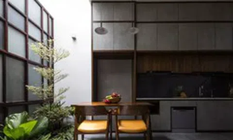 Nhà 4m ngang đầy nắng, gió và cây xanh