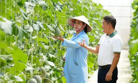 BIDV tiếp dòng tài chính, cùng khách hàng tiếp nối thành tựu