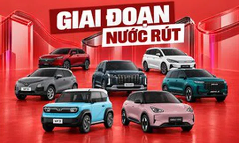 12 xe tạm dẫn đầu ‘top vote’ CCA 2026: Một số mẫu chung thương hiệu, có những nhóm bám đuổi bình chọn sát sao