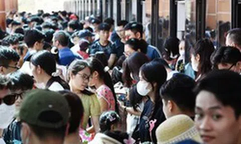Vì sao tài chính ngân hàng, CNTT, báo chí... hot cả chục năm bỗng giảm nhiệt, cử nhân VN "chật vật" tìm việc?