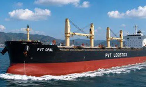 PVT Logistics chi trả cổ tức năm 2025 bằng tiền mặt tỷ lệ 6%