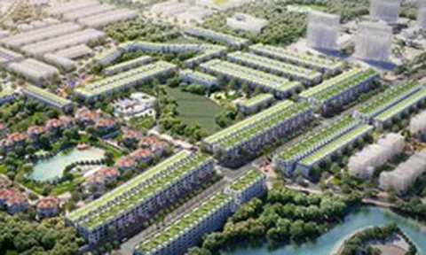 Mã KOS giảm sàn 5 phiên liên tiếp, Kosy Group giải trình gì?